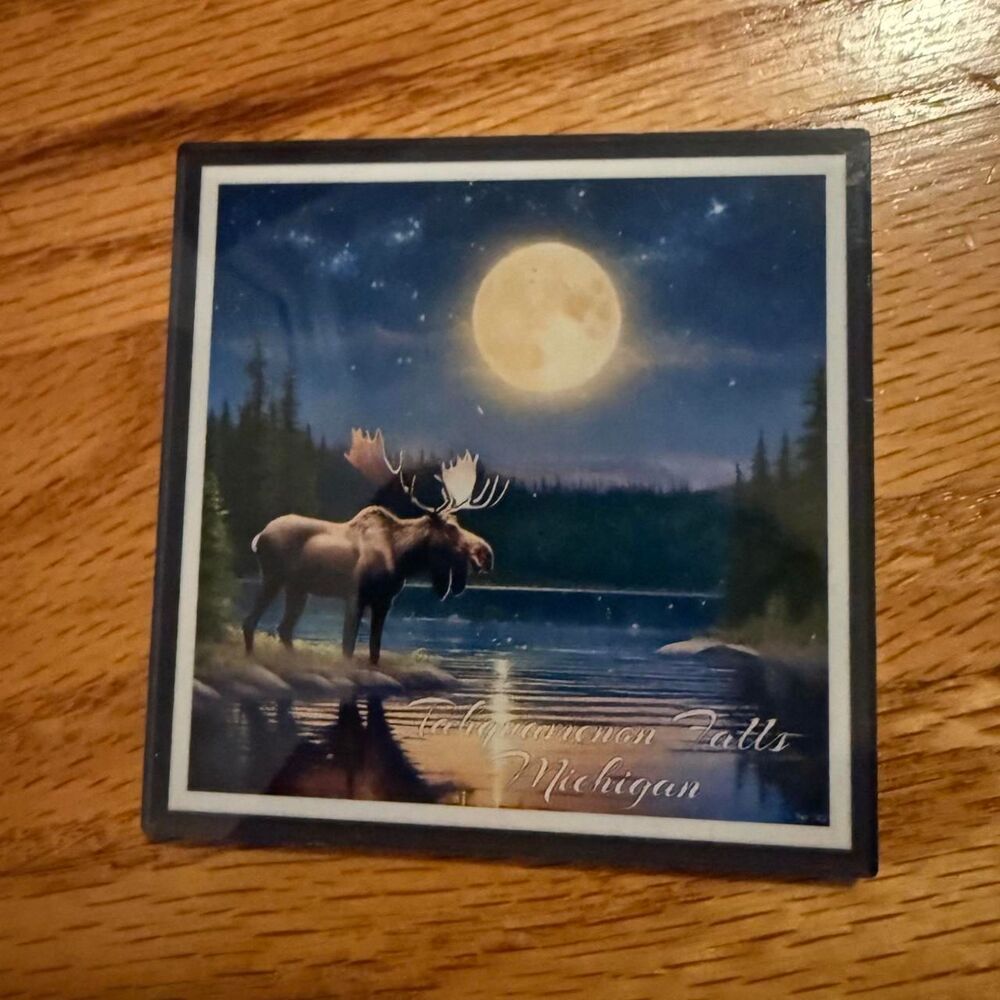 Tahquamenon Falls square magnet unisex OS multi moose wildlife travel
